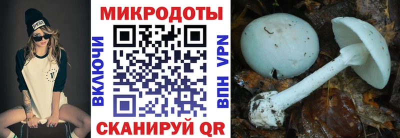Галлюциногенные грибы ЛСД  blacksprut ONION  Липецк 