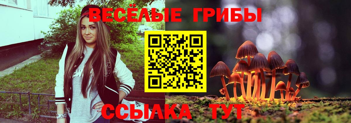 Галлюциногенные грибы Cubensis  закладка  Липецк  Вход с VPN 