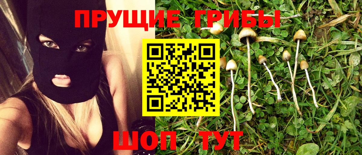 Галлюциногенные грибы мицелий Липецк